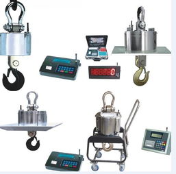 精準(zhǔn)高效，源頭保障——3噸行車電子鉤頭秤廠家直銷，打造可靠工業(yè)稱重解決方案